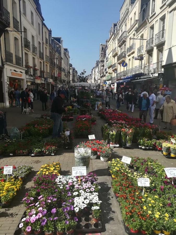 Bienvenue Sous Les Toits De Dieppe *** Hypercentre Eksteriør billede